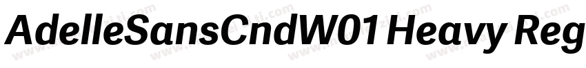AdelleSansCndW01 Heavy Regular字体转换